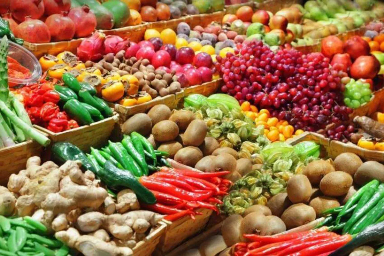 Аграрии Карагандинской и Улытауской областей привезут свою продукцию в Астану