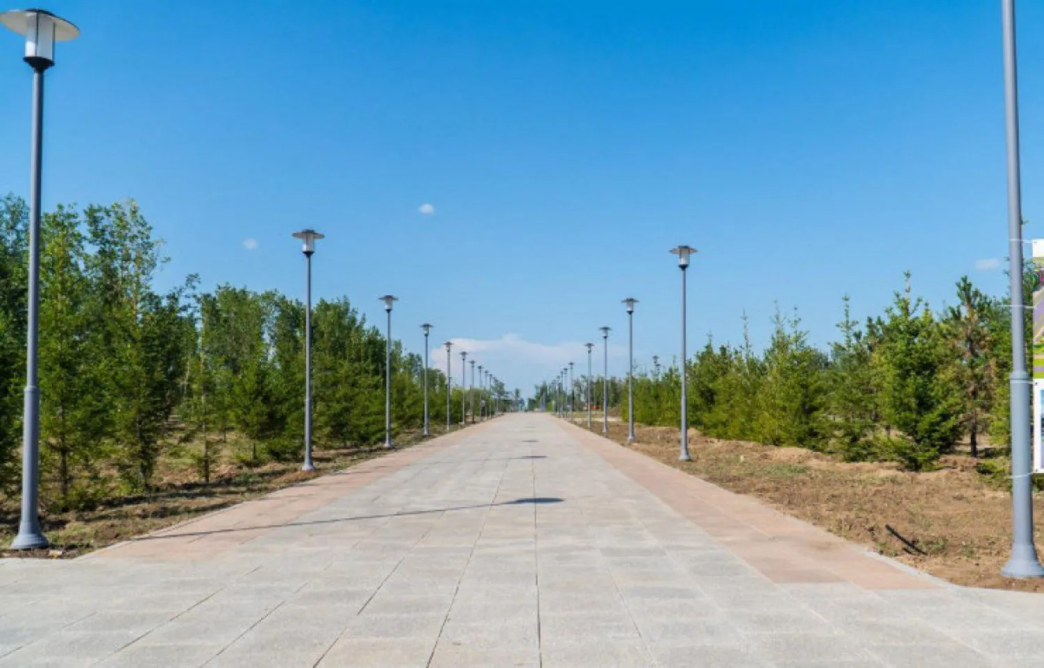Деревья и кустарники высадили в столичном парке Коктал