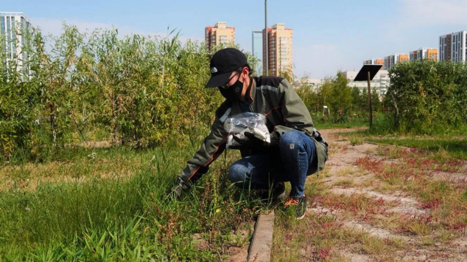 В столице начали подготовку к дератизационным мероприятиям