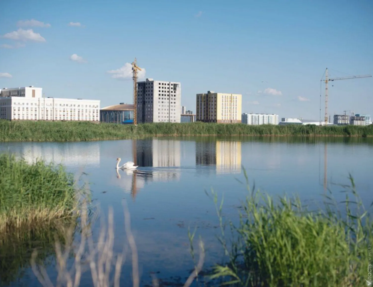 Болото просто так оставить нельзя – Кульгинов о судьбе Малого Талдыколя