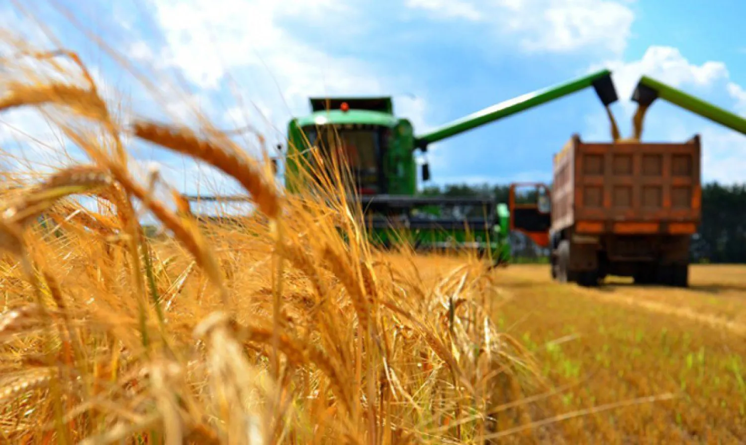 Менее 4% составил реальный рост выпуска продукции АПК