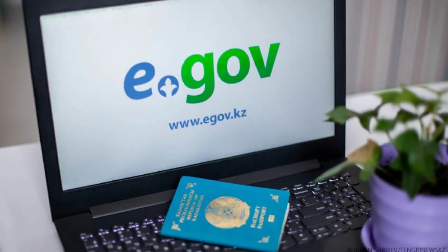 Пять новых услуг ввели на eGov.kz для казахстанцев за границей