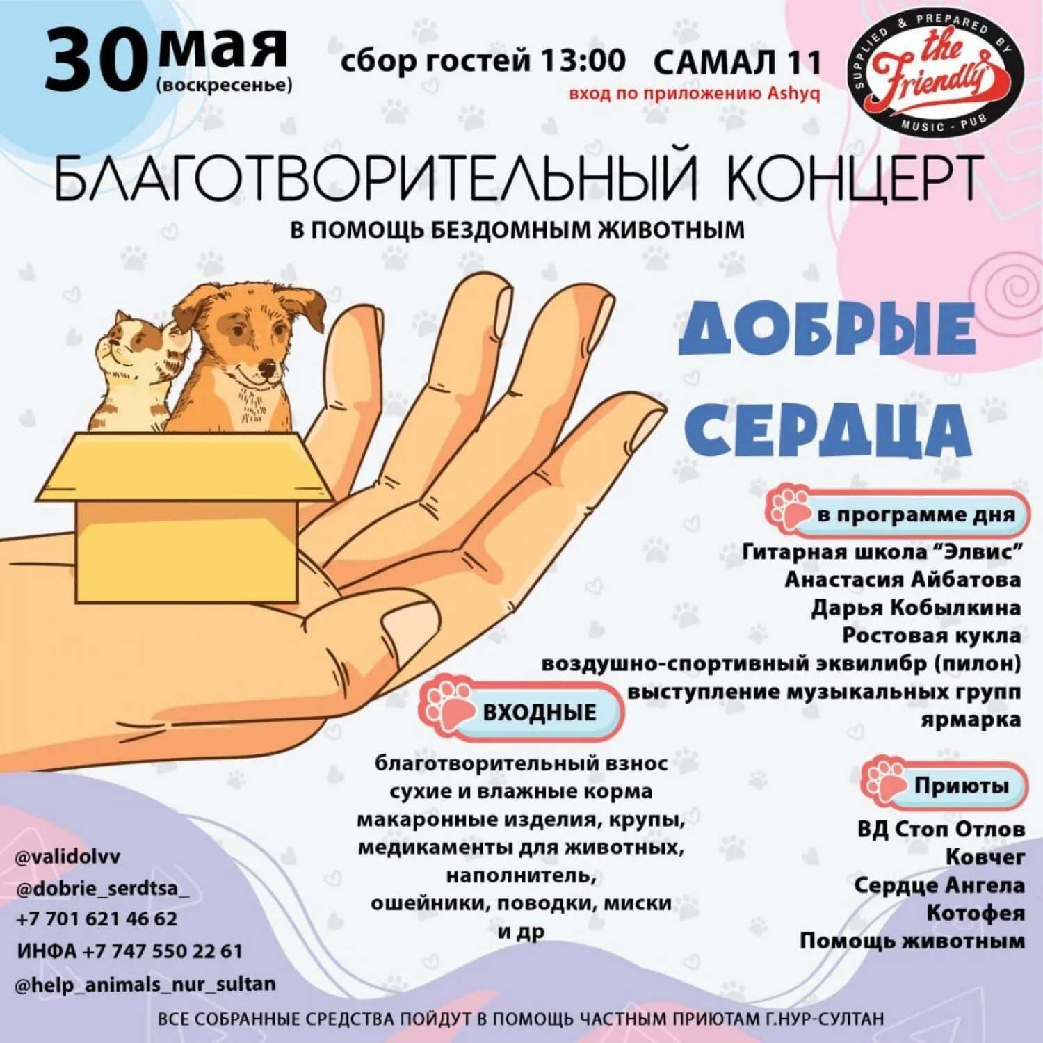 Благотворительная ярмарка в пользу бездомных животных пройдет в столице