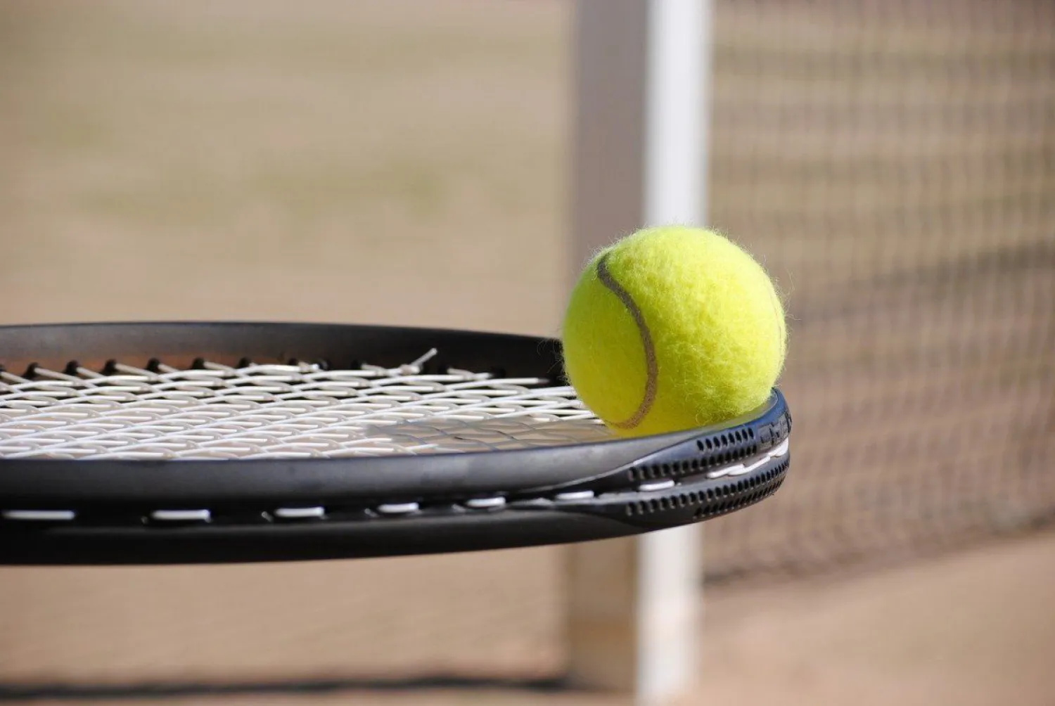 Ведущие казахстанские теннисистки сохранили свои позиции в рейтинге WTA