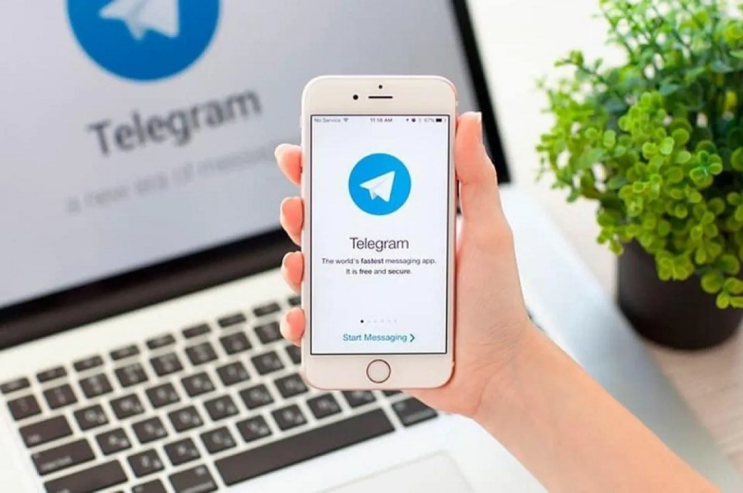 Квитанцию за комуслуги можно получить через Тelegram-бот