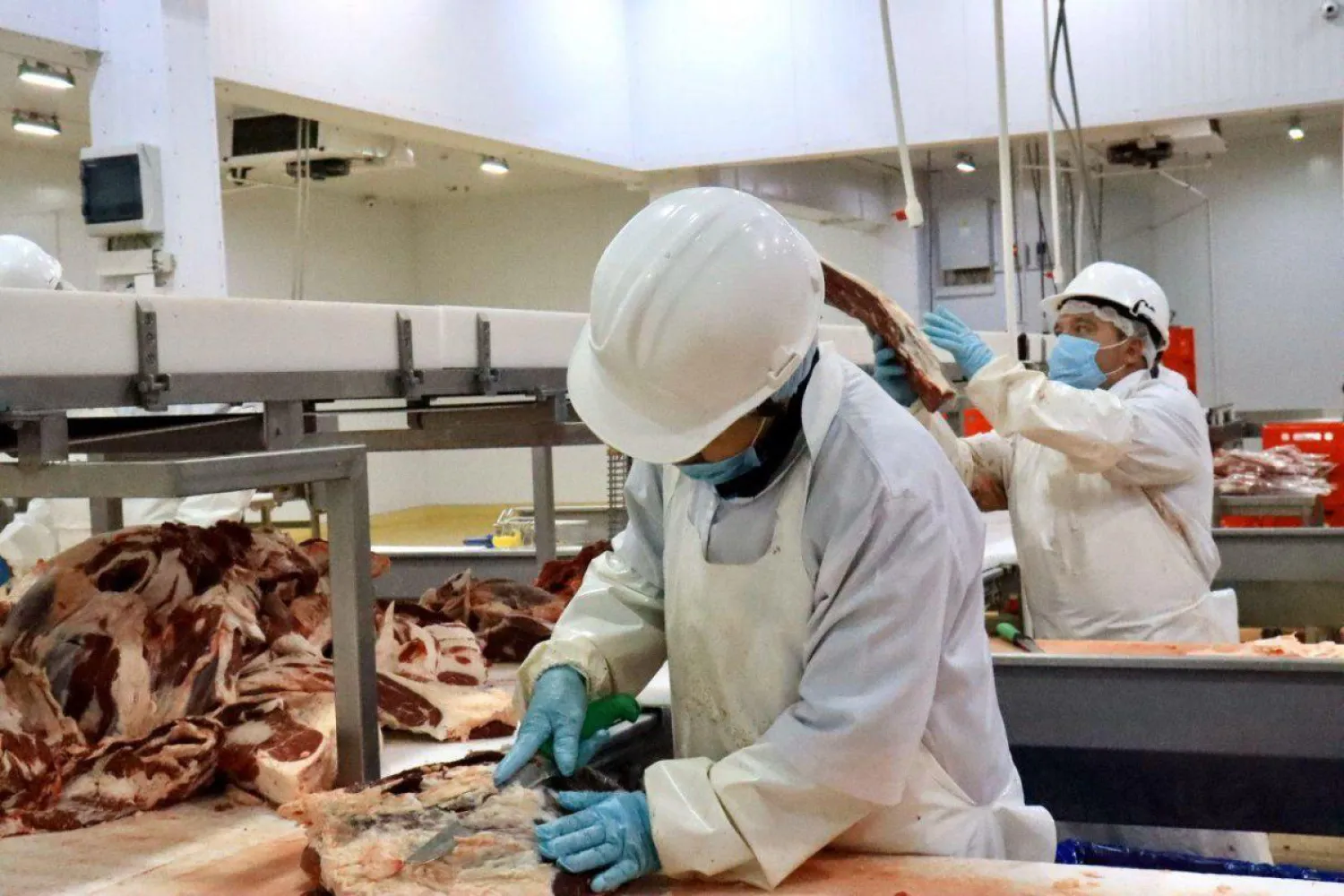 Минсельхоз начал инспектировать мясоперерабатывающие предприятия