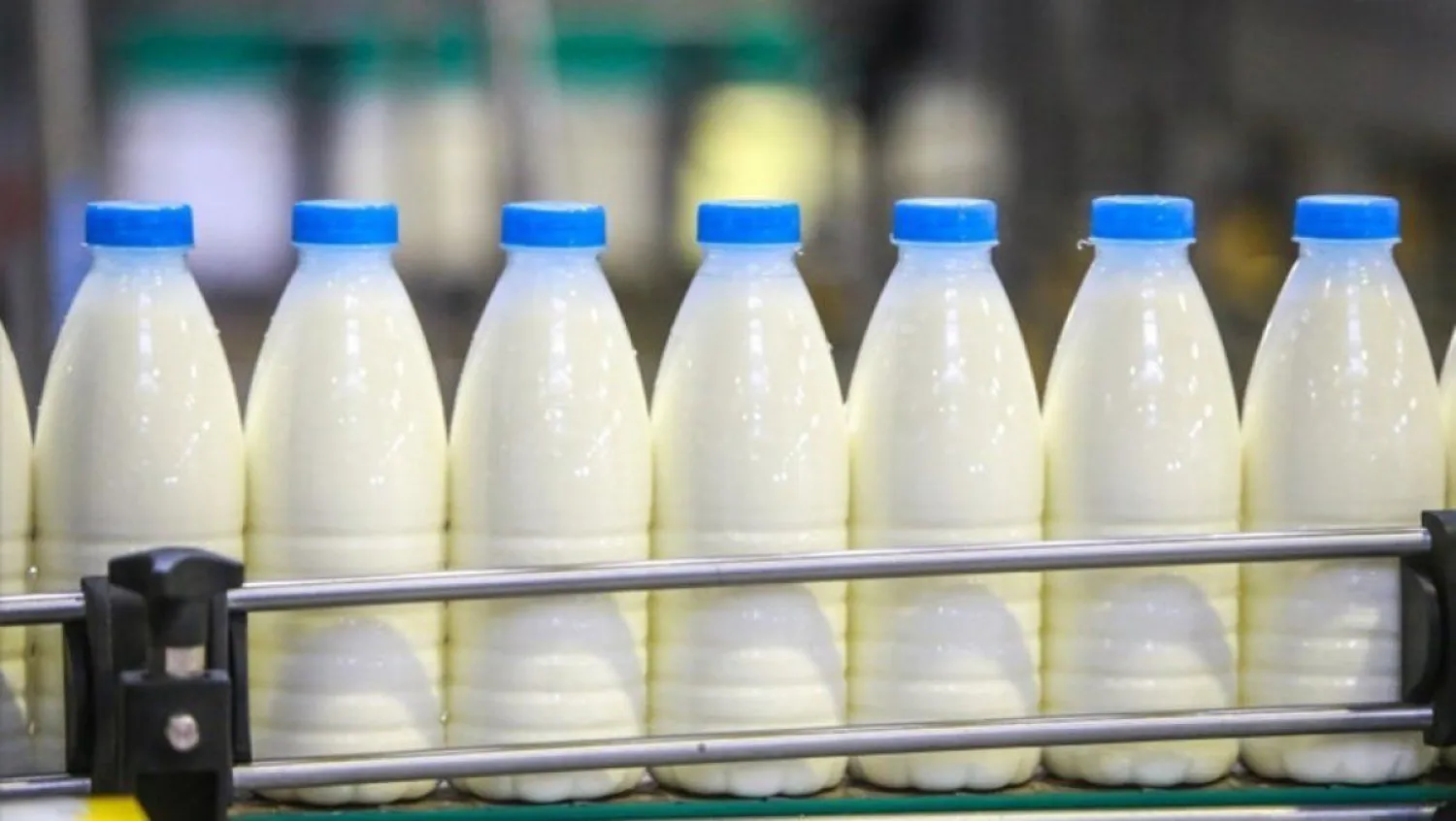 Ещё 3 казахстанских предприятия начнут экспортировать молочную продукцию в Китай