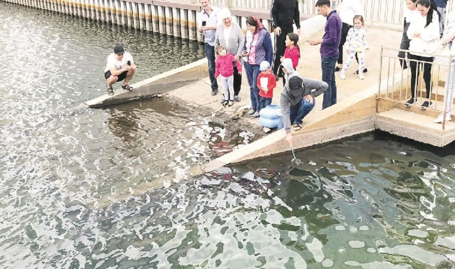 Более 700 мальков карася запустили в искусственный водоем жители ЖК "Зеленый квартал"