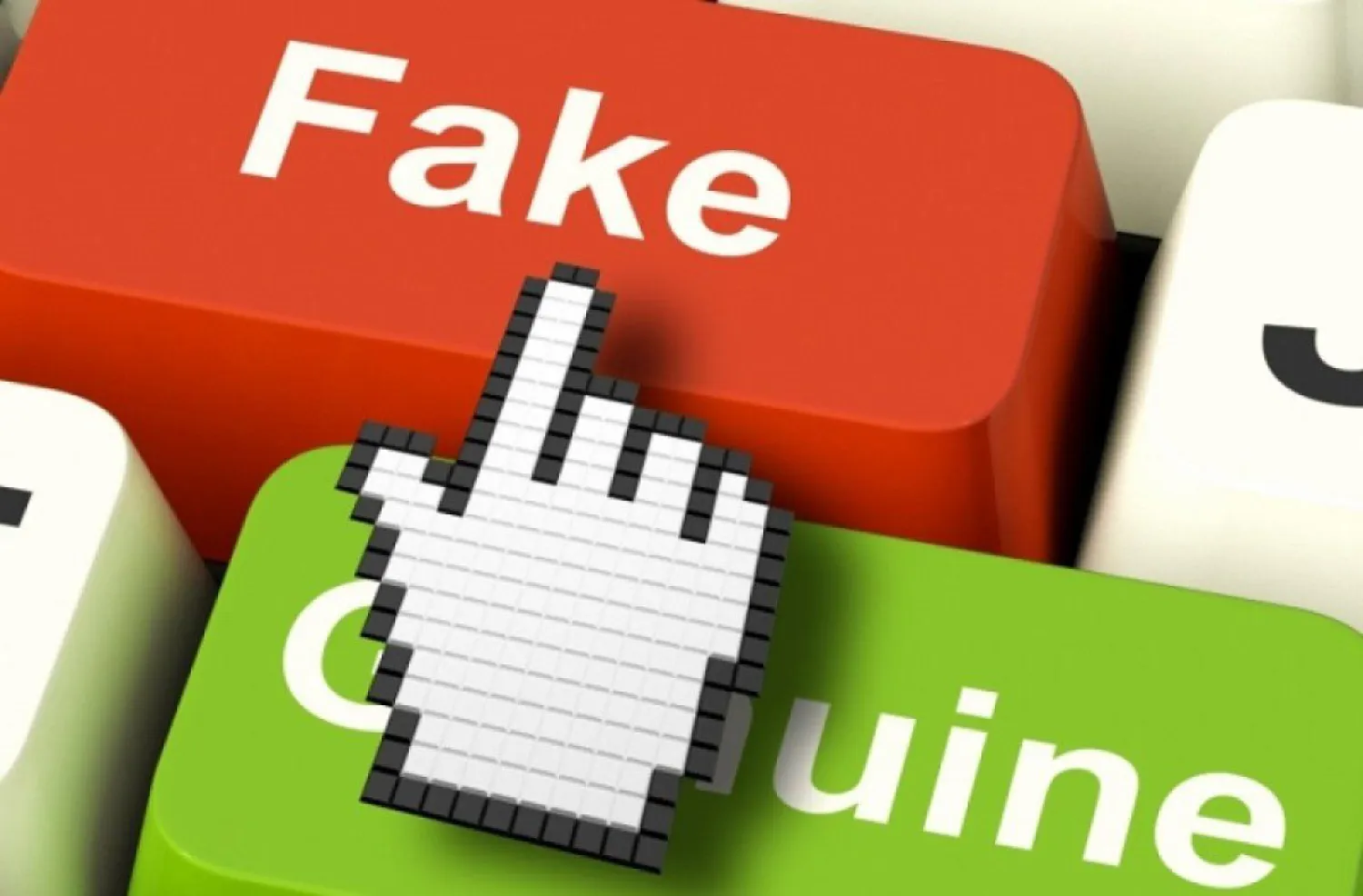 Управление образования прокомментировало информацию о рейдах в школах