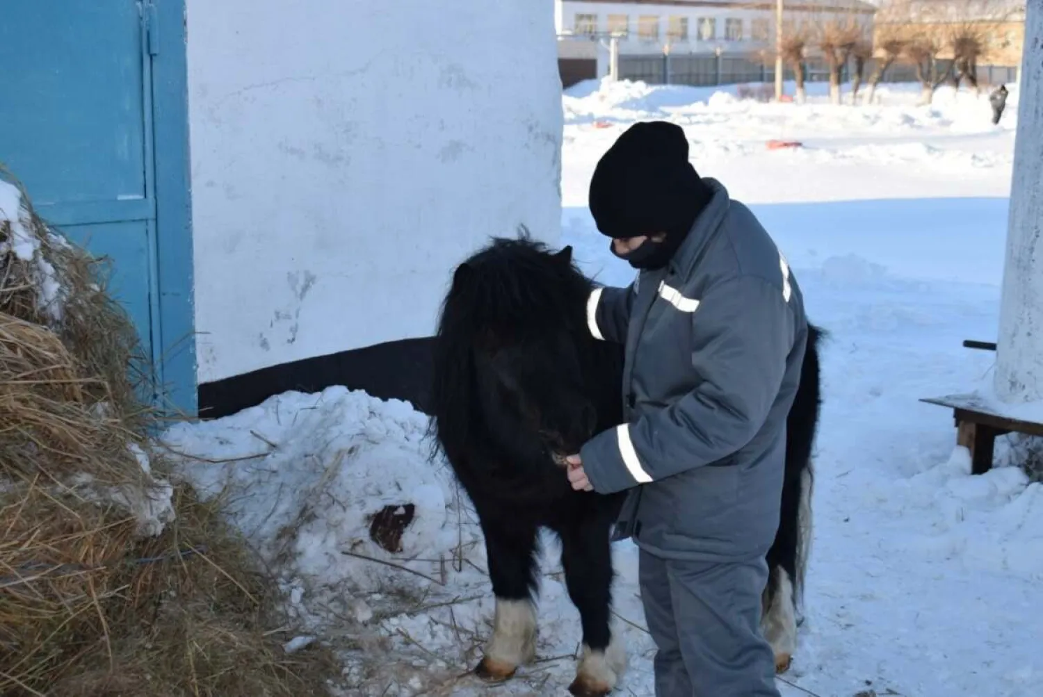 Пони помогает снять стресс осужденным женской колонии в СКО