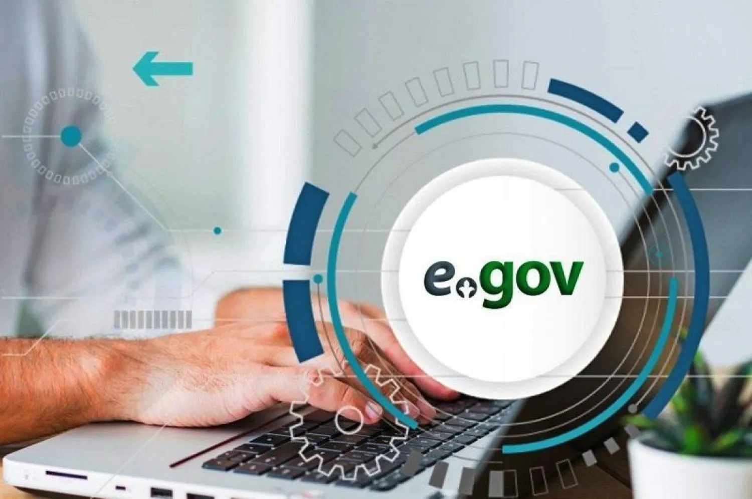 Новая услуга для предпринимателей стала доступна на Egov