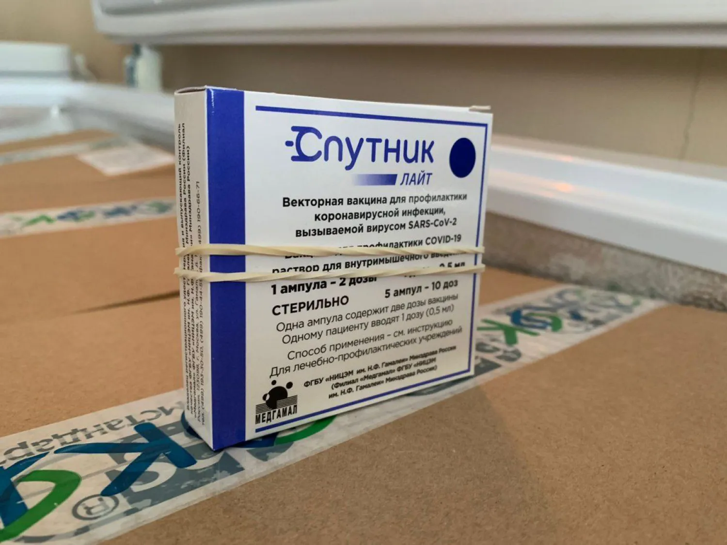 Ревакцинация "Спутником Лайт": применение и противопоказания