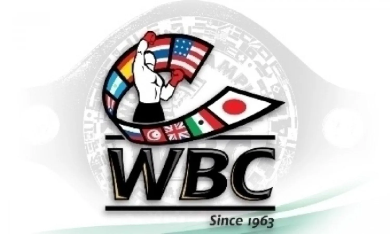 Стали известны позиции казахстанских боксеров в мировом рейтинге WBC