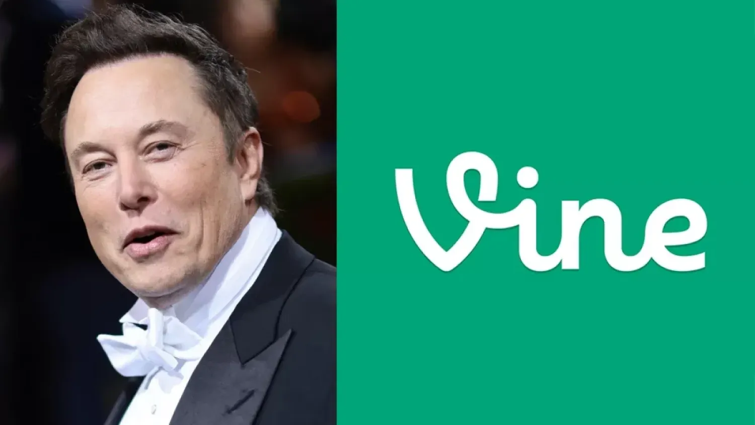 Илон Маск предложил вернуть приложение Vine