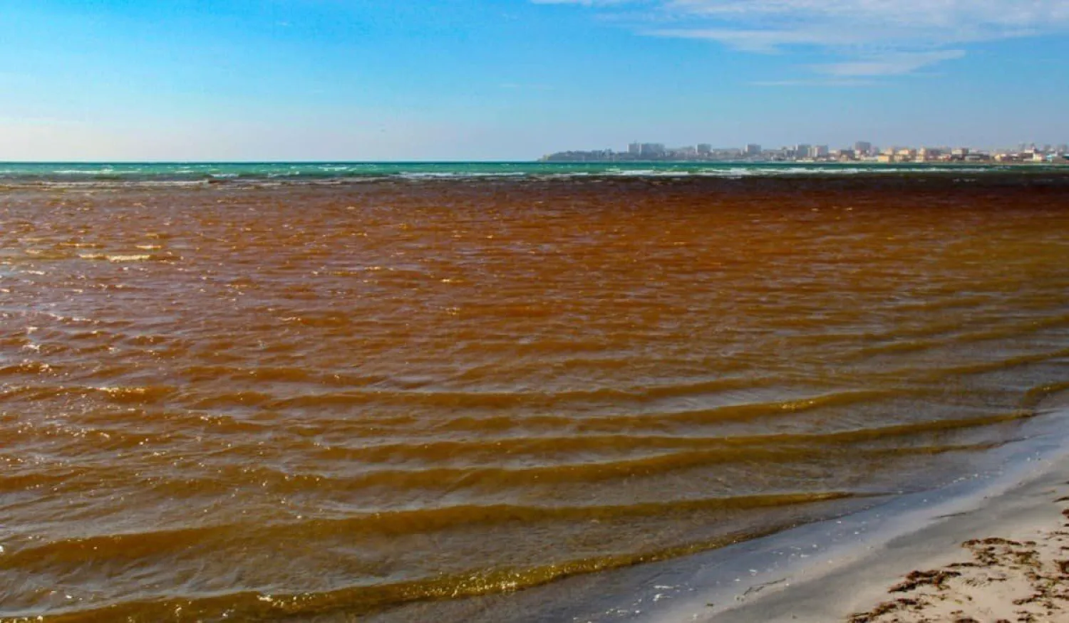 У берегов Каспия покраснела вода (ВИДЕО)