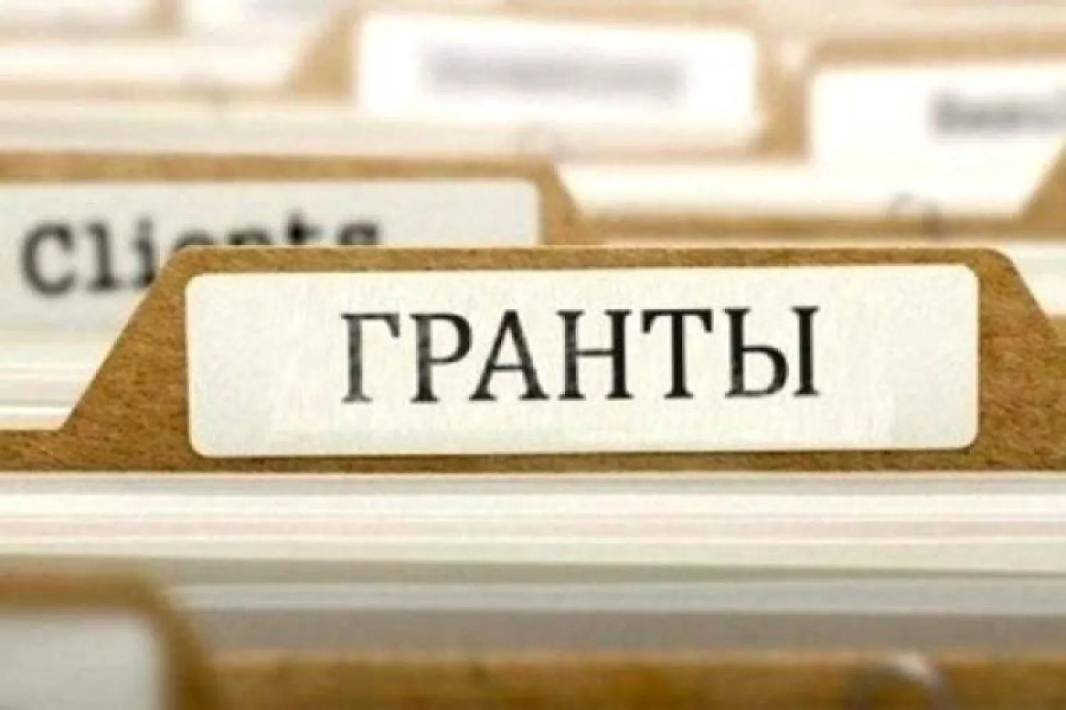 Опубликован список образовательных грантов по специальностям