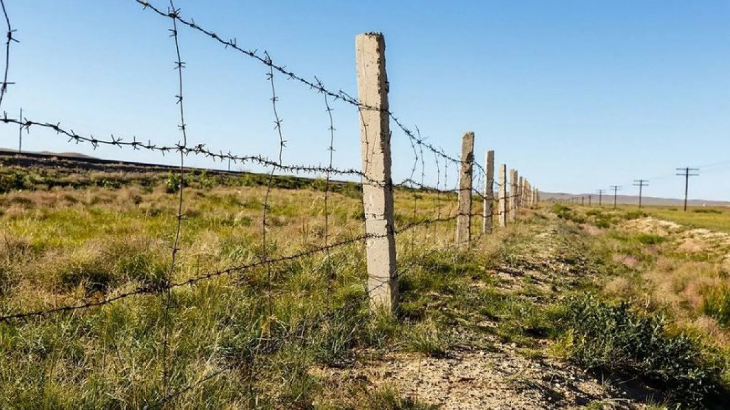 Граждане Афганистана пытались нелегально попасть в Россию через Казахстан