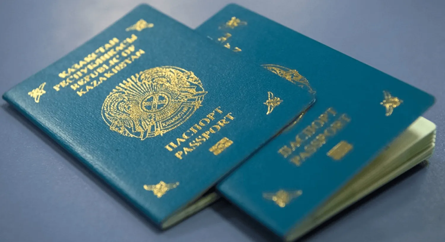 С начала года в Казахстан вернулись более 14 тысяч этнических казахов