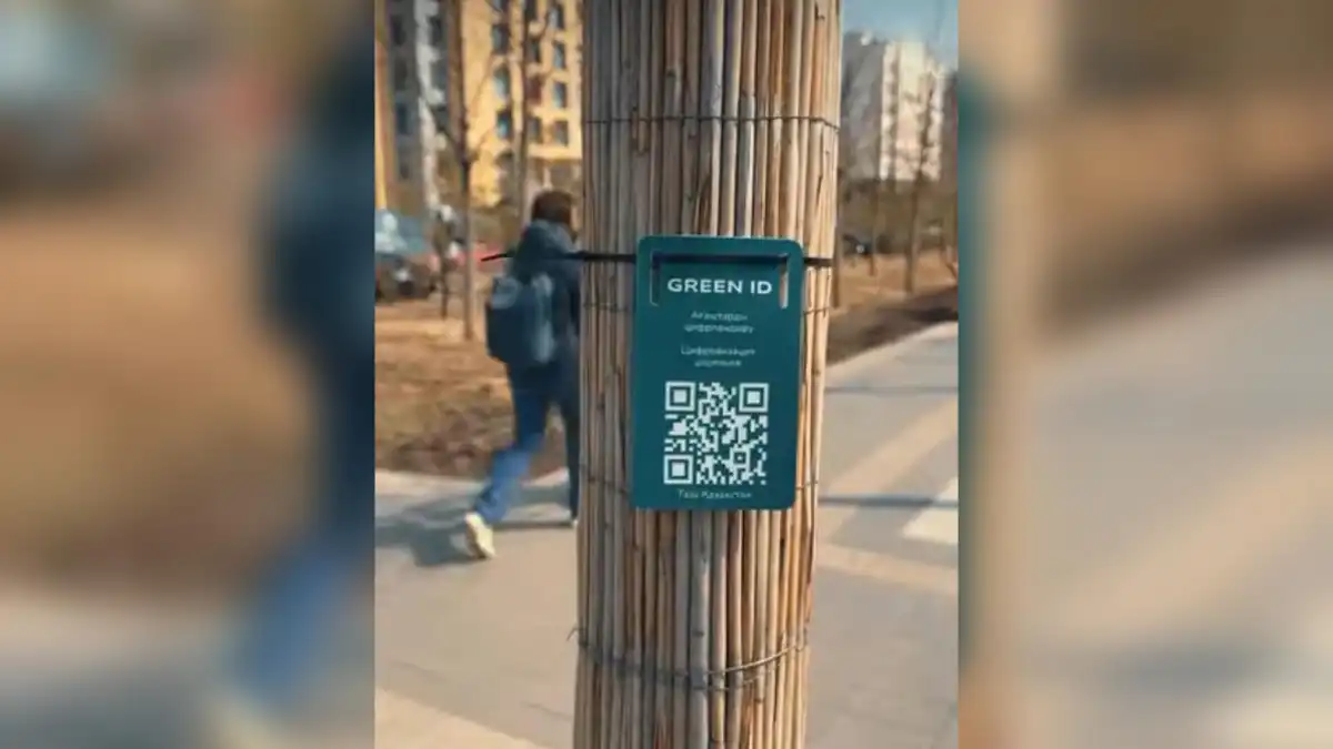 В Астане начали присваивать индивидуальные QR-коды деревьям (ВИДЕО)