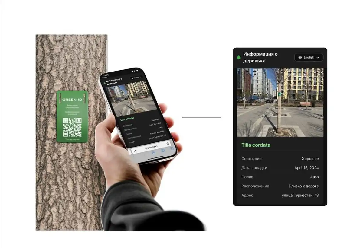 Green ID: для чего проводится оцифровка деревьев в Астане