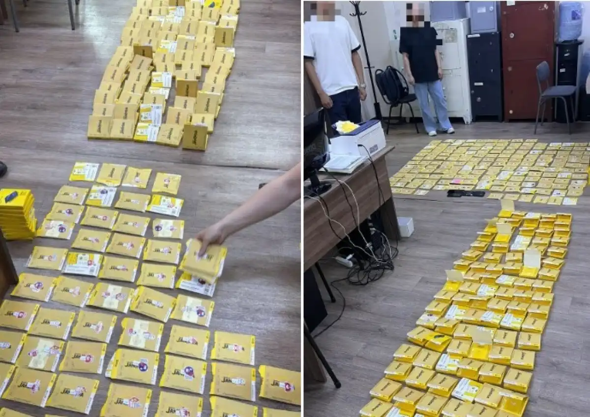 Сотней активированных номеров помогла мошенникам казахстанка ради «легкого заработка»