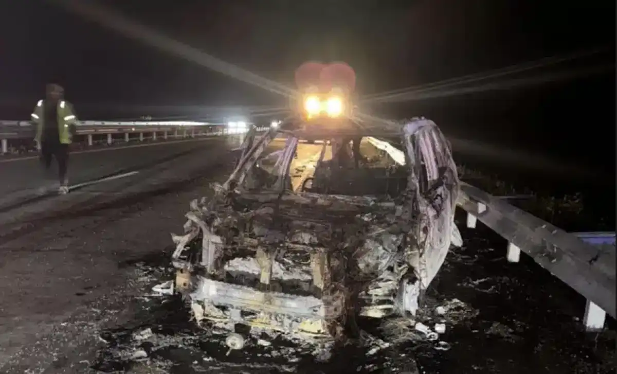 2 человека погибли в ДТП с участием лошади в Акмолинской области