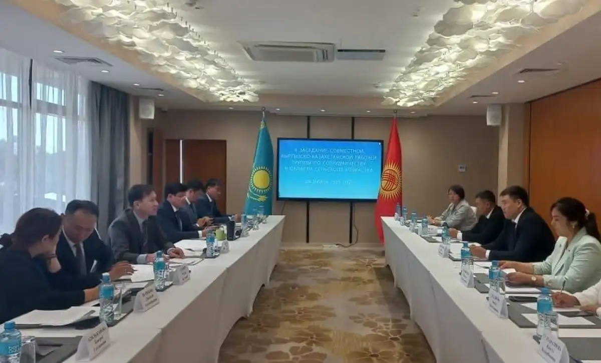 Первая сельхозярмарка кыргызской продукции может пройти в Астане