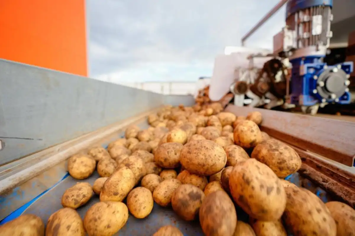 Какая работа ведется по стабилизации цен на продукты в Астане
