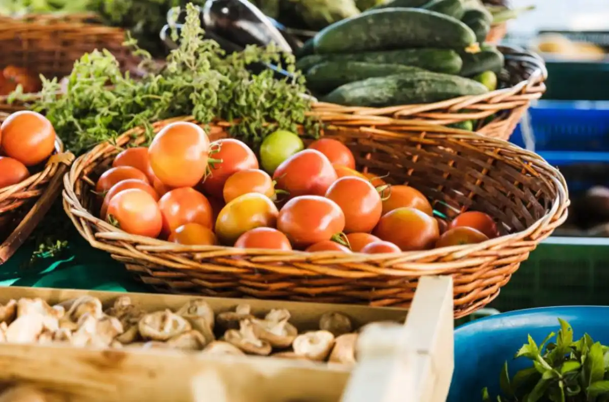 Около 400 тонн продукции представят на ярмарке в Астане