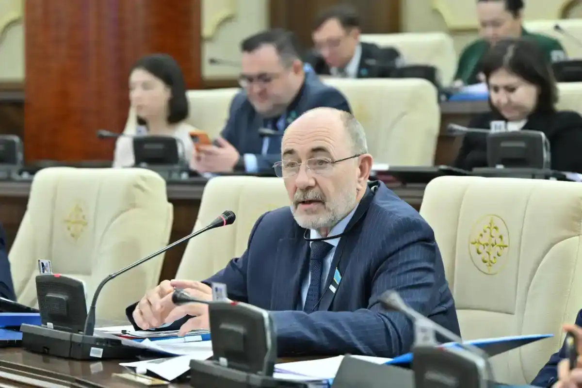 О пагубных последствиях обнуления пошлин на импорт мяса предупредил мажилисмен