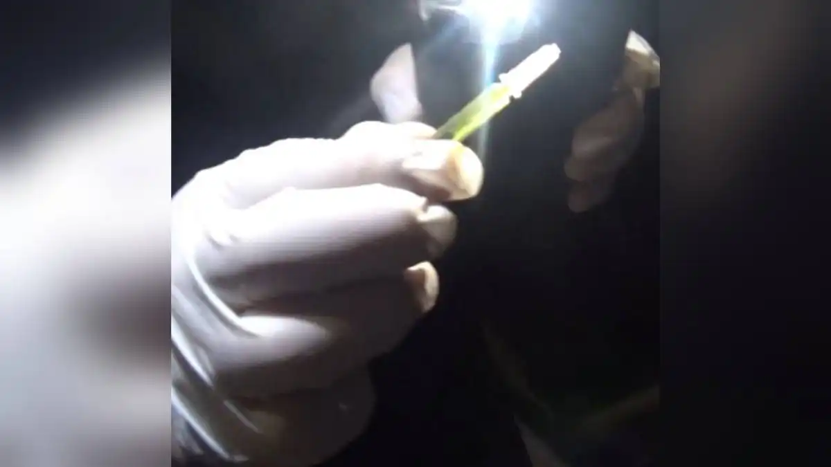 Обычная проверка на заправке обернулась делом о наркотиках в столице (ВИДЕО)