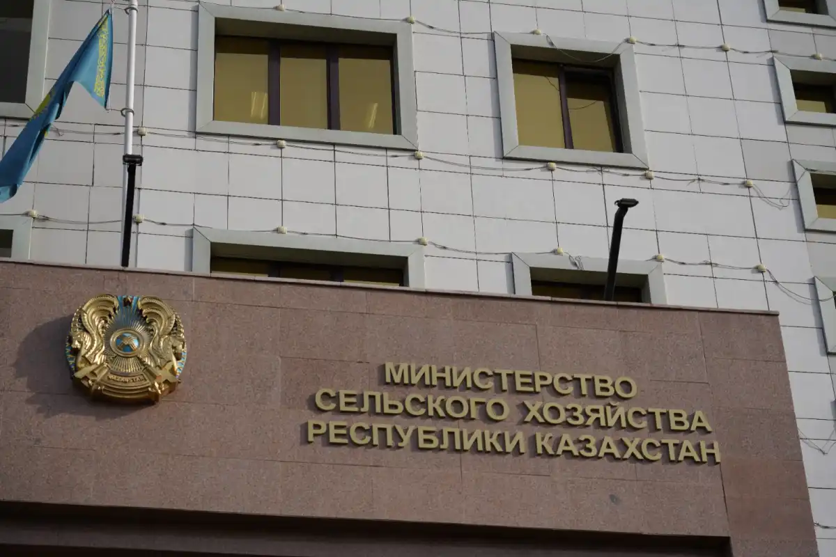 Казахстан ввел лимит и запрет на вывоз скота