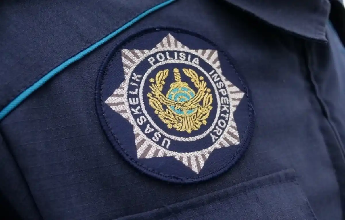 Двум костанайцам грозит до 7 лет колонии за нападение на полицейского