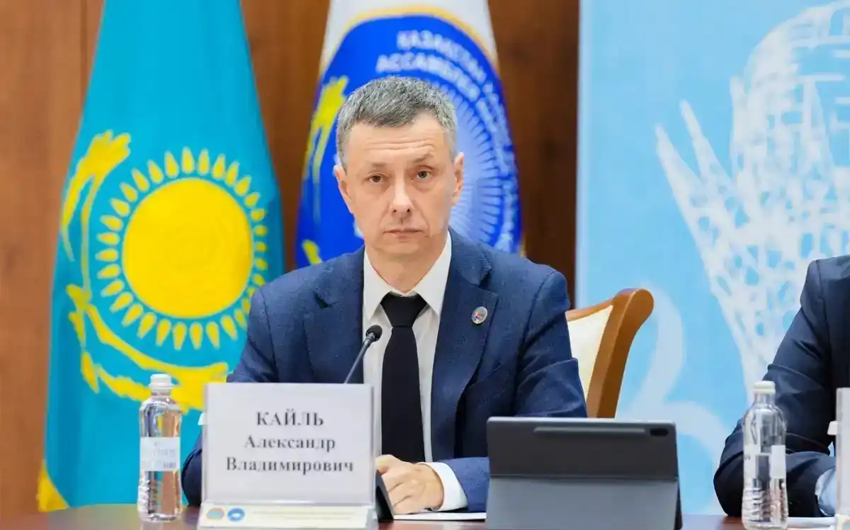 Интервью Президента обозначает ключевые ориентиры для общественного согласия и развития страны — Александр Кайль