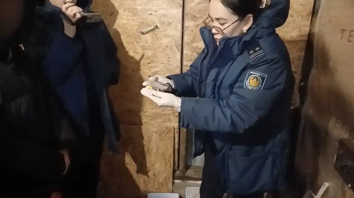 У наркозакладчицы в Щучинске изъяли 280 свертков с мефедроном - ВИДЕО