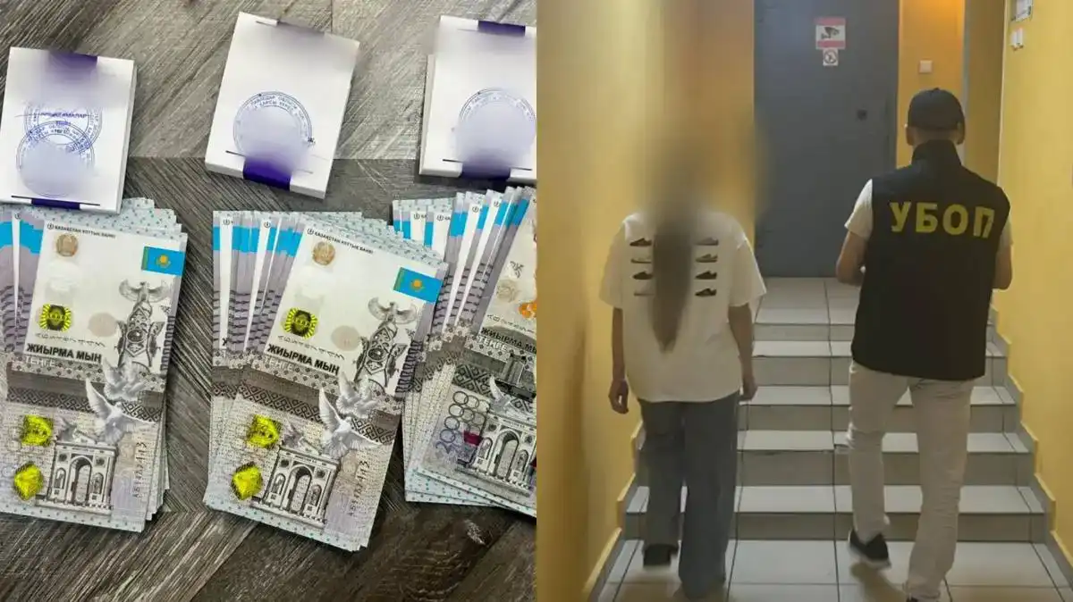 Пытавшуюся продать почку россиянку освободили в зале суда в Павлодаре