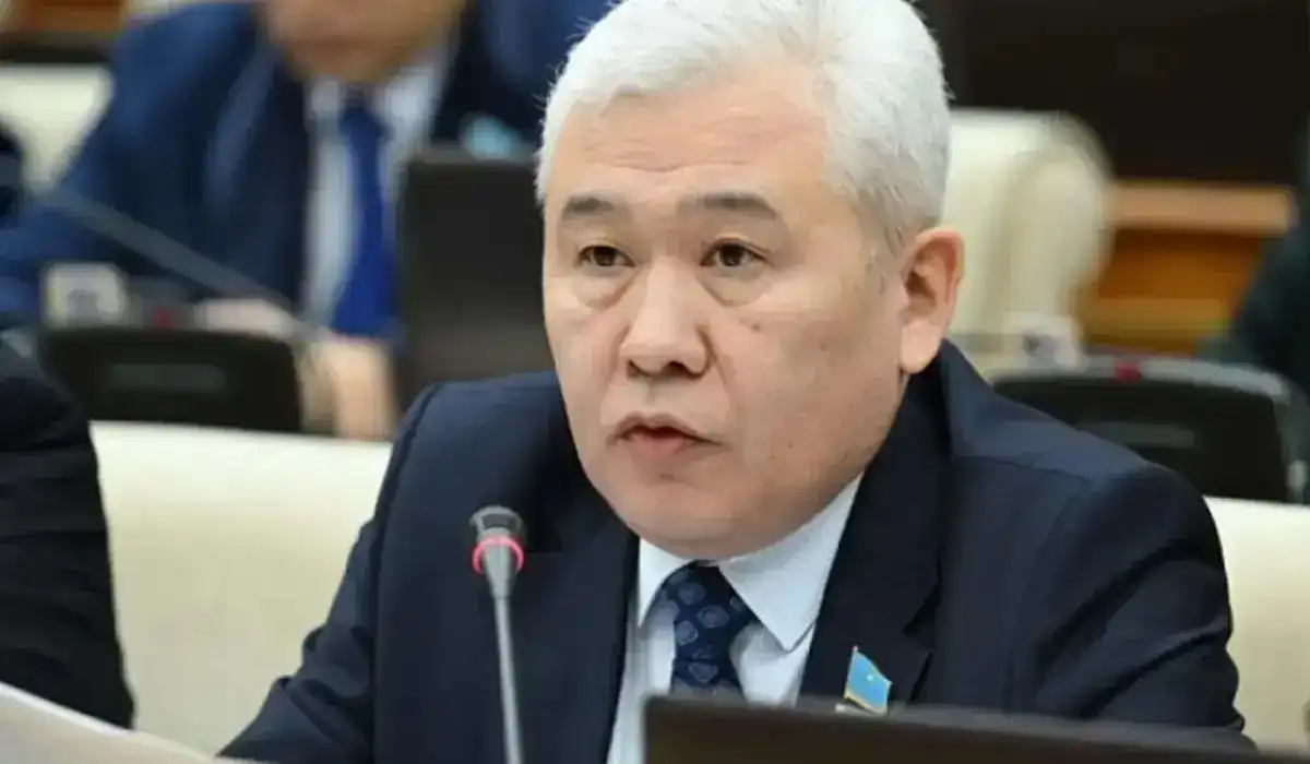 Новая Конституция отражает стремление Казахстана к государству нового типа – Еркин Абил