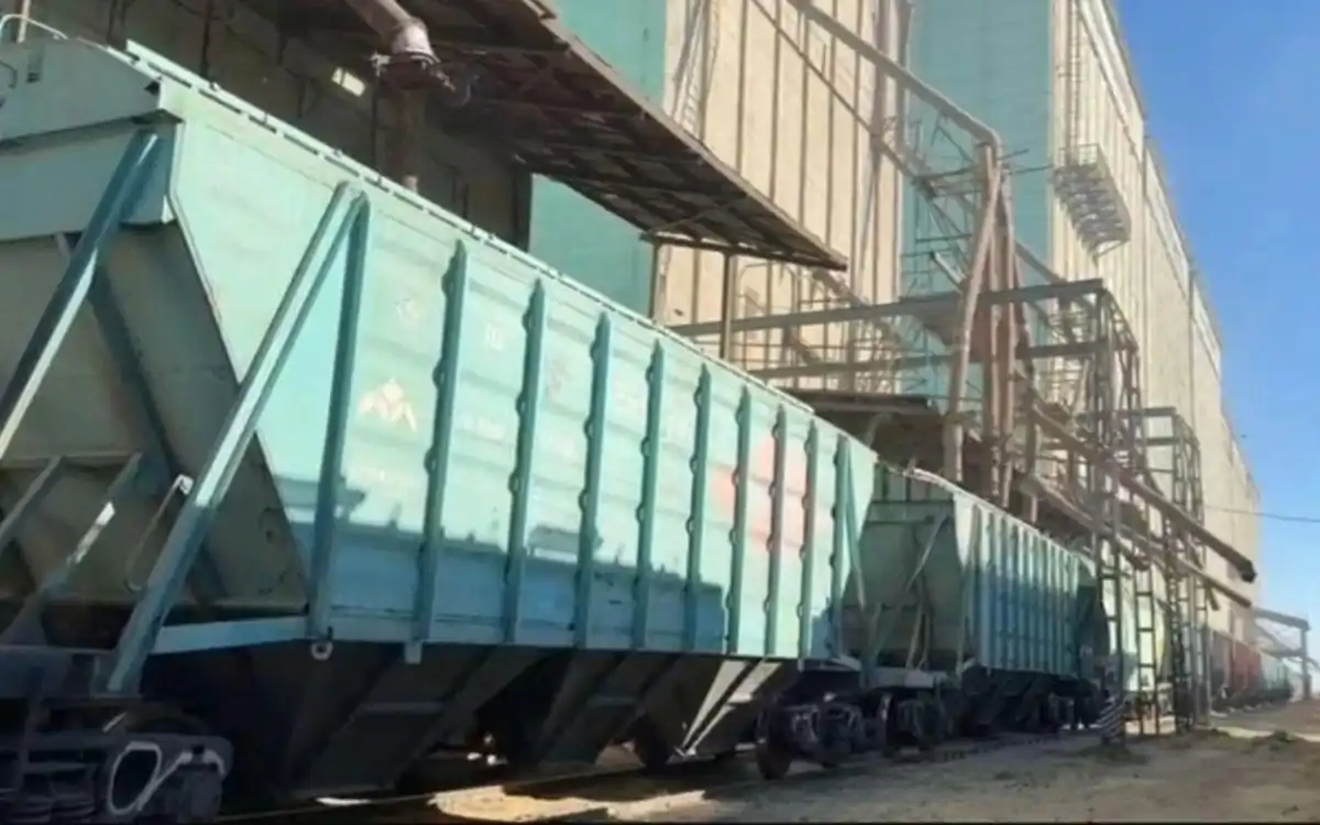 Казахстан экспортировал 5,8 млн тонн зерна нового урожая
