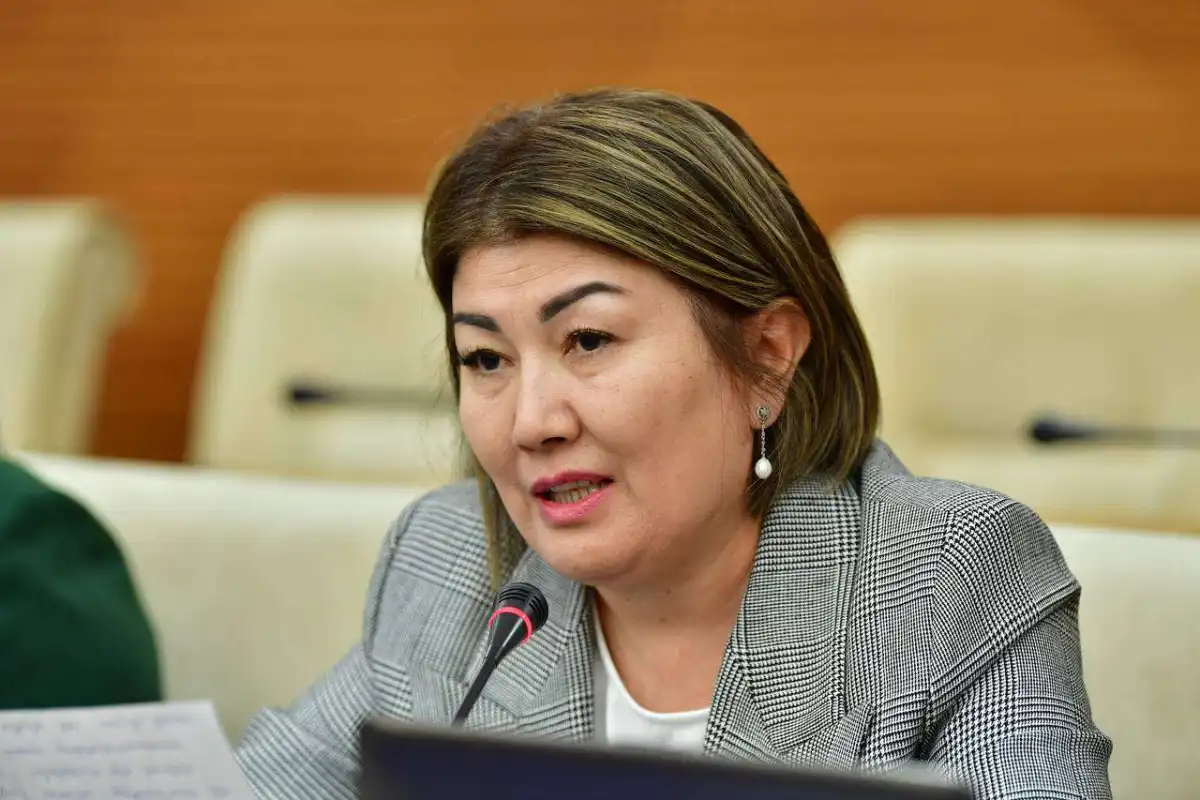 Депутат требует от Правительства системного решения накопившихся проблем в сфере детского отдыха