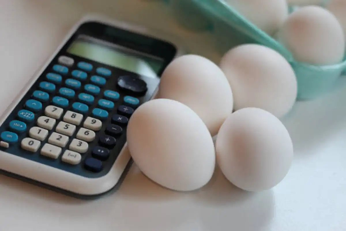 Незаконная наценка на соцпродукты выявлена в Жетысу