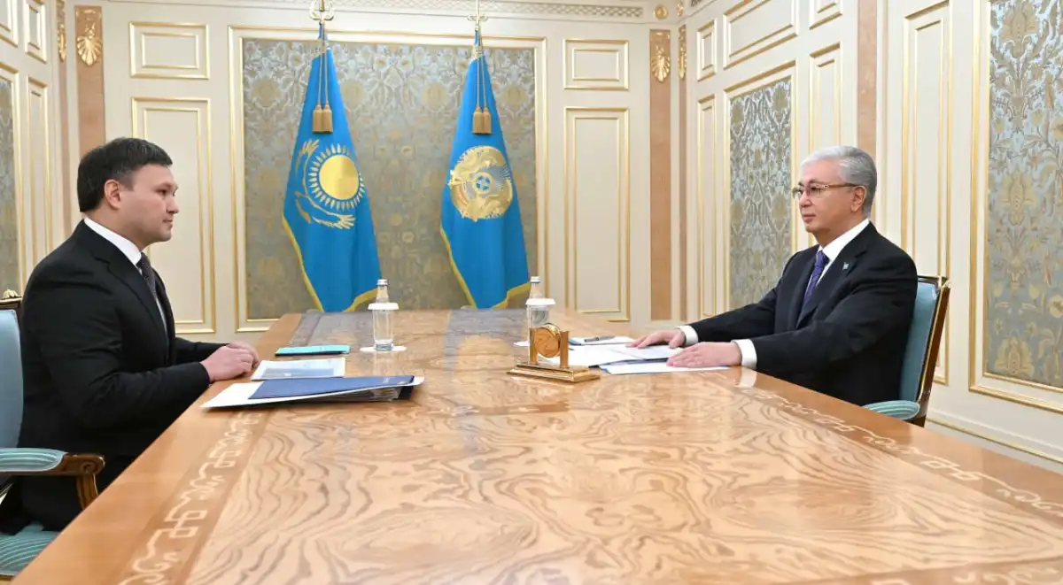 Президент принял главу «КазМунайГаза»