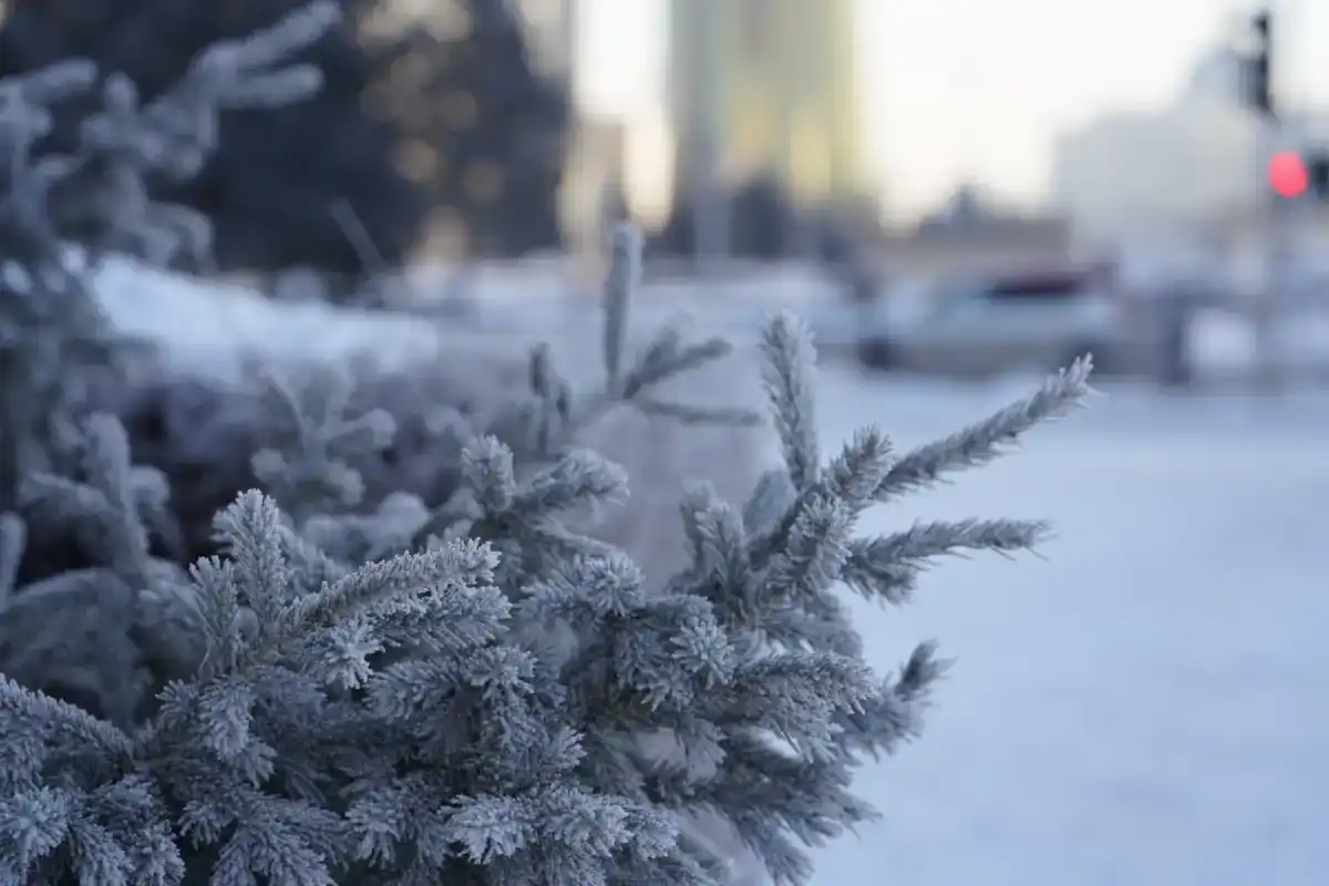 Какой будет погода в Астане 16 февраля