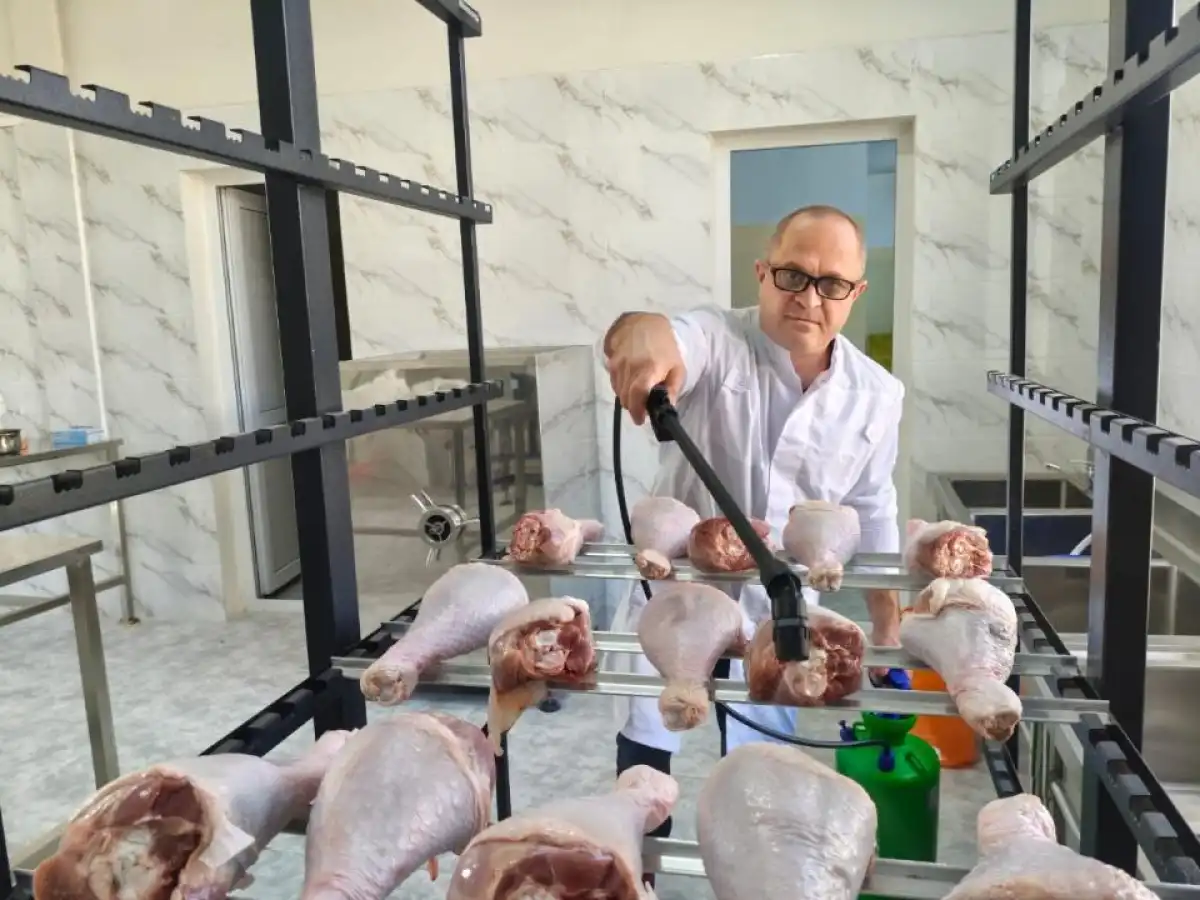 Втрое увеличить срок хранения охлажденного мяса птицы смогли казахстанские ученые