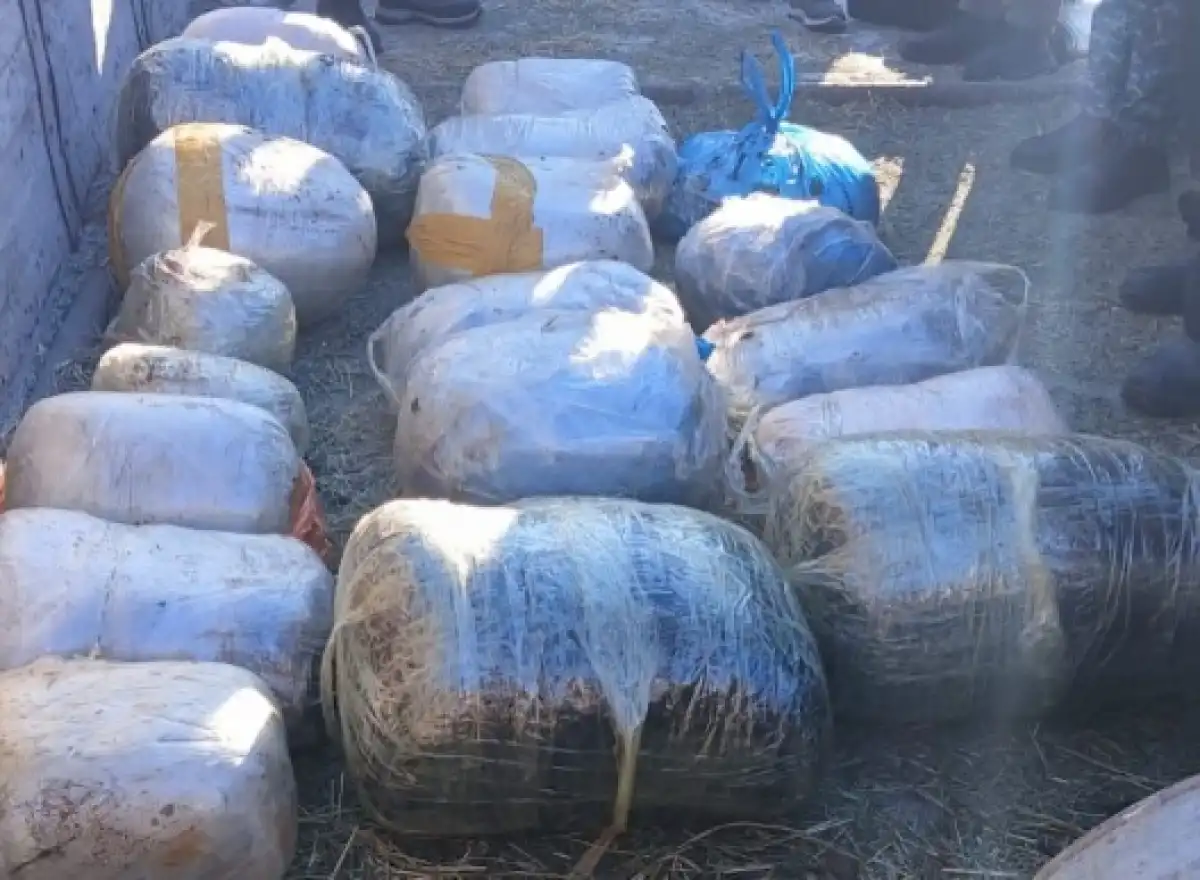 Более 200 кг наркотиков изъяли из тайника на колесах в Костанайской области