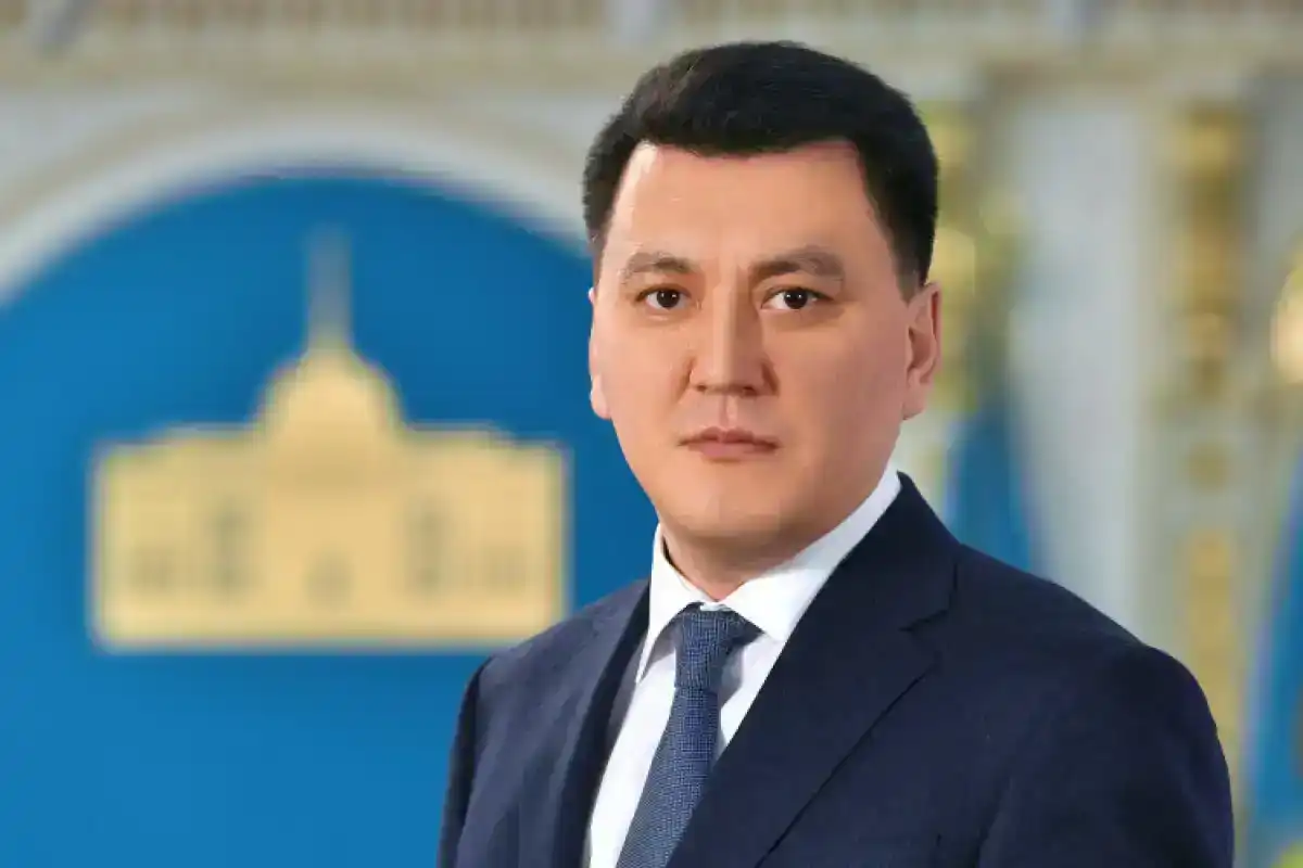 Новая Конституция означает переход к современной модели — Ерлан Карин