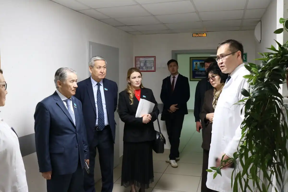 Депутаты Мажилиса обсудили проблемы лечения нарко-, алко- и лудозависимостей на выездном заседании