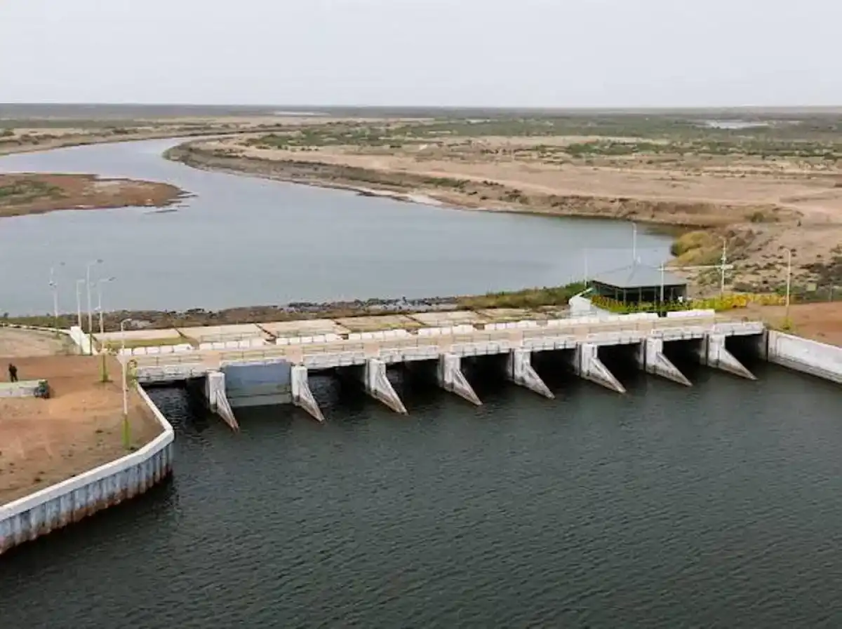 На высохшем дне Аральского моря вырастят 450 тысяч саженцев саксаула