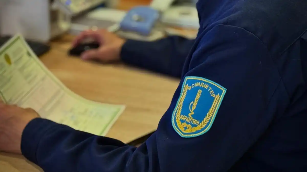 84,5 тонны зараженного зерна вернули из ЗКО экспортеру